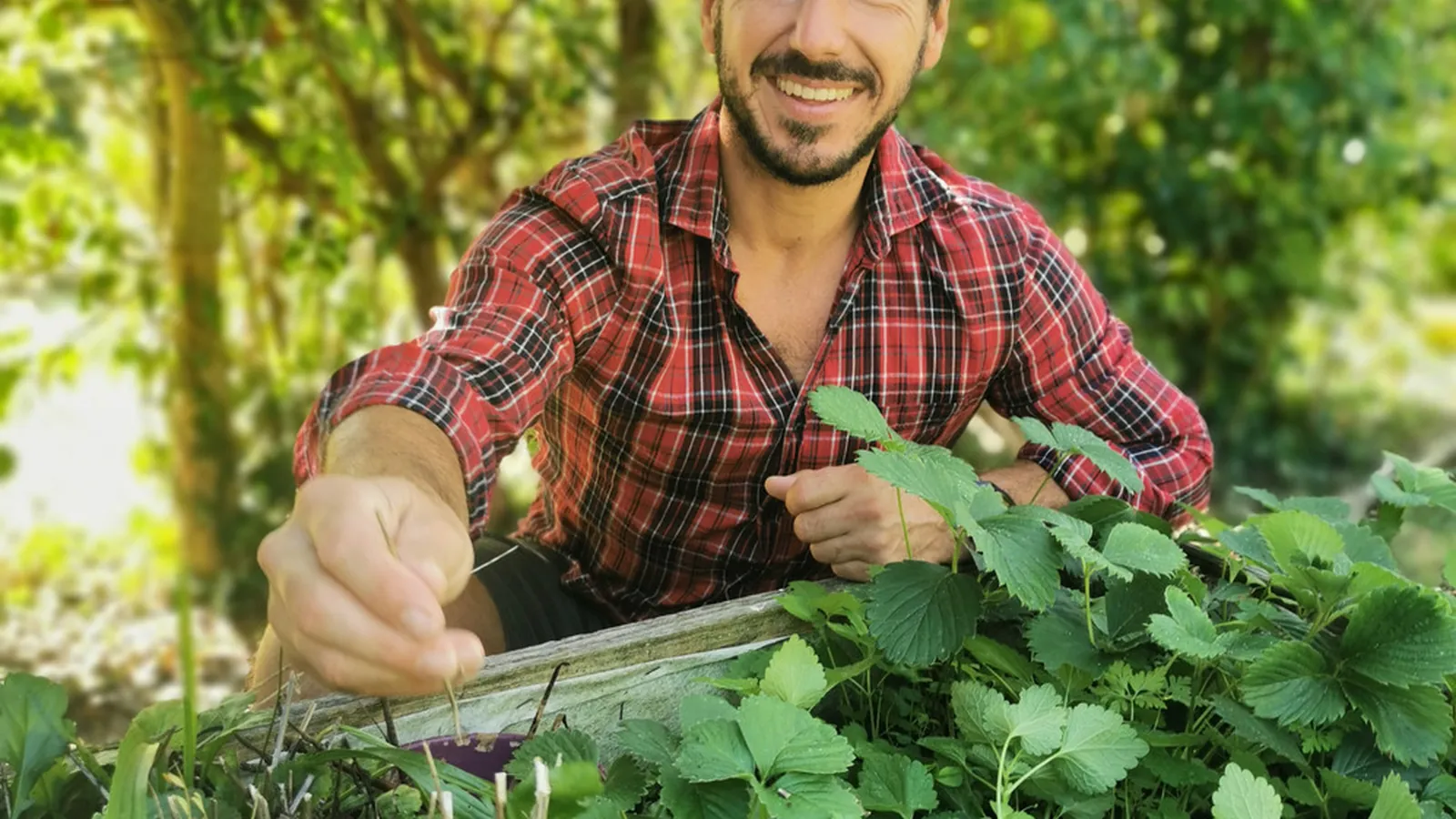 Un jardinier des Jardins d'Edouard au travail dans un massif