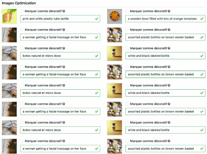 Interface odoo seo on page V19 balise alt images
